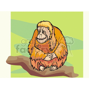 monkey11 clipart. Royalty-free image # 133228