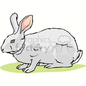 Grey bunny rabbit with pink ears clipart.