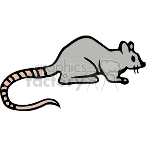   rat rats rodent rodents animals  BAB0228.gif Clip Art Animals Rodents 