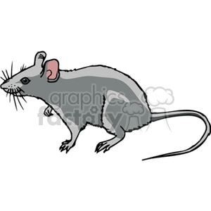 mouse10 clipart. Royalty-free image # 133448