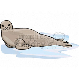 pretty gray seal clipart. Commercial use image # 133727
