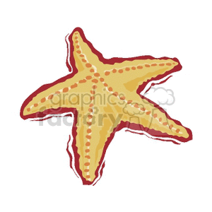 cartoon starfish clipart.