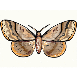 butterfly24 clipart. Commercial use image # 137674