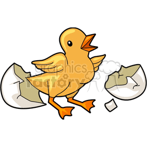 Cute Baby Chick Hatching from its Egg clipart.