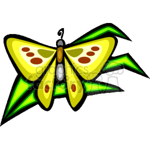 Butterfly On Leafes clipart. Royalty-free image # 144332