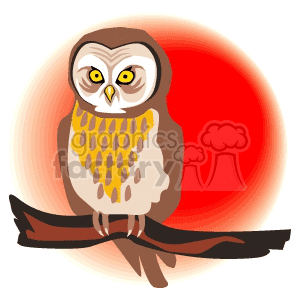 owl clipart. Commercial use image # 144825