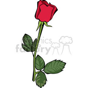 Single rose clipart. Commercial use image # 150773