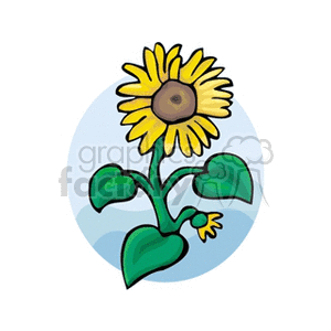 sunflower1312 clipart. Royalty-free image # 151599
