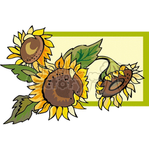 sunflower clipart. Commercial use image # 151601