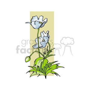   plant plants flower flowers  anemone2.gif Clip Art Nature Plants 