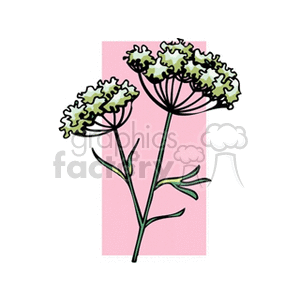 anise clipart. Commercial use image # 151790