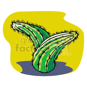 cactus13