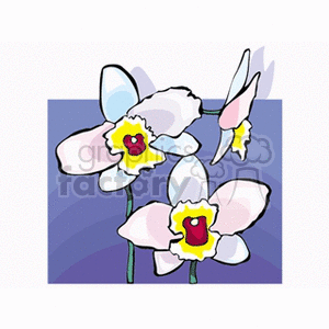dendrobium clipart. Royalty-free image # 152012