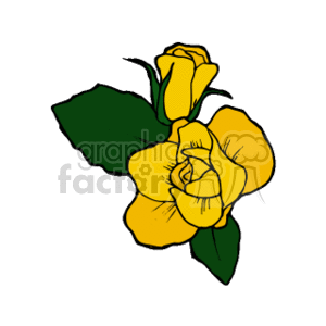 yellow rose clipart. Royalty-free image # 152014