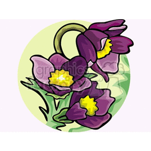 pasqueflower clipart. Commercial use image # 152279