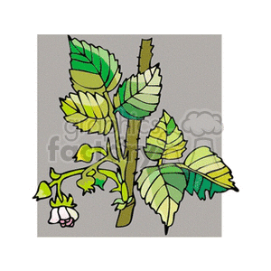 raspberry clipart. Commercial use image # 152302