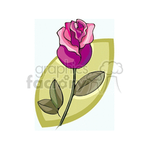 clipart - Purple rose on a steam.