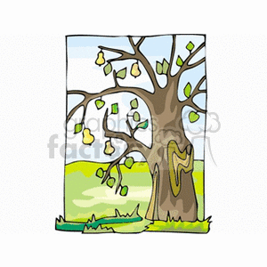 Pear tree in autumn clipart. Commercial use image # 152512