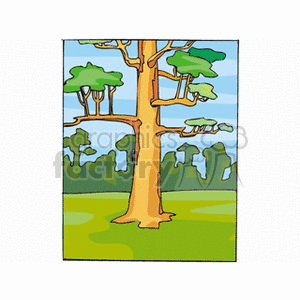   tree trees forest woods country land  landscape631311.gif Clip Art Places Landscape 