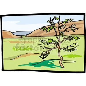   tree trees forest woods country land  landscape831211.gif Clip Art Places Landscape 