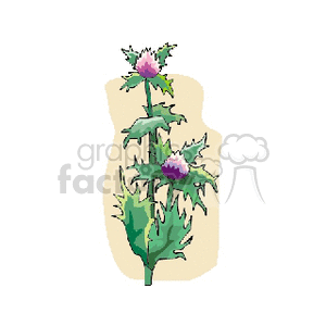 thistle clipart. Royalty-free image # 164058