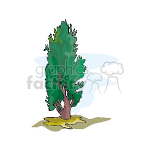 Big forest tree clipart. Commercial use image # 164074
