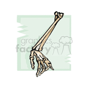  anatomy bone bones human hand hands  hand.gif Clip Art Science 