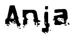 The image contains the word Anja in a stylized font with a static looking effect at the bottom of the words