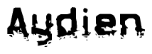 This nametag says Aydien, and has a static looking effect at the bottom of the words. The words are in a stylized font.