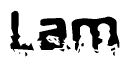 This nametag says Lam, and has a static looking effect at the bottom of the words. The words are in a stylized font.