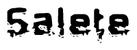 The image contains the word Salete in a stylized font with a static looking effect at the bottom of the words