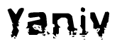 The image contains the word Yaniv in a stylized font with a static looking effect at the bottom of the words