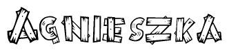 The image contains the name Agnieszka written in a decorative, stylized font with a hand-drawn appearance. The lines are made up of what appears to be planks of wood, which are nailed together