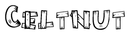 The image contains the name Celtnut written in a decorative, stylized font with a hand-drawn appearance. The lines are made up of what appears to be planks of wood, which are nailed together