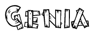 The image contains the name Genia written in a decorative, stylized font with a hand-drawn appearance. The lines are made up of what appears to be planks of wood, which are nailed together