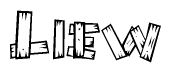 The image contains the name Liew written in a decorative, stylized font with a hand-drawn appearance. The lines are made up of what appears to be planks of wood, which are nailed together