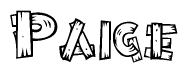 The image contains the name Paige written in a decorative, stylized font with a hand-drawn appearance. The lines are made up of what appears to be planks of wood, which are nailed together