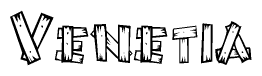 The image contains the name Venetia written in a decorative, stylized font with a hand-drawn appearance. The lines are made up of what appears to be planks of wood, which are nailed together