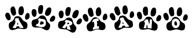 The image shows a series of animal paw prints arranged horizontally. Within each paw print, there's a letter; together they spell Adriano