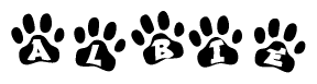 The image shows a row of animal paw prints, each containing a letter. The letters spell out the word Albie within the paw prints.