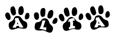 The image shows a series of animal paw prints arranged in a horizontal line. Each paw print contains a letter, and together they spell out the word Alia.