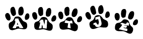 The image shows a series of animal paw prints arranged horizontally. Within each paw print, there's a letter; together they spell Antje