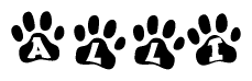 The image shows a series of animal paw prints arranged in a horizontal line. Each paw print contains a letter, and together they spell out the word Alli.