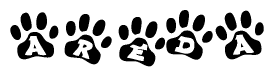 The image shows a series of animal paw prints arranged horizontally. Within each paw print, there's a letter; together they spell Areda