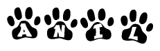 The image shows a series of animal paw prints arranged in a horizontal line. Each paw print contains a letter, and together they spell out the word Anil.