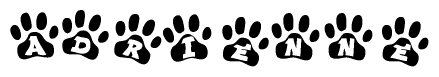 The image shows a series of animal paw prints arranged in a horizontal line. Each paw print contains a letter, and together they spell out the word Adrienne.
