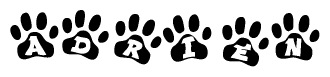 The image shows a series of animal paw prints arranged horizontally. Within each paw print, there's a letter; together they spell Adrien