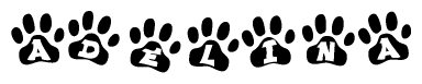 The image shows a series of animal paw prints arranged horizontally. Within each paw print, there's a letter; together they spell Adelina