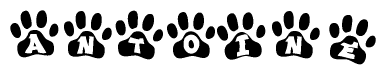 The image shows a row of animal paw prints, each containing a letter. The letters spell out the word Antoine within the paw prints.