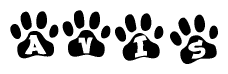 The image shows a series of animal paw prints arranged horizontally. Within each paw print, there's a letter; together they spell Avis